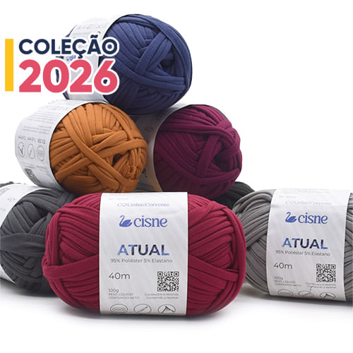 Fio Cisne Atual 100g