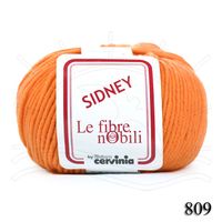 Lã Sidney 50g - 100% Merino Australiano 809