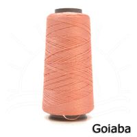 Linha Rayontex Grossa 500m Goiaba