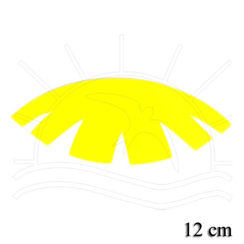 005896_000000_1