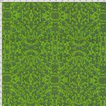 013772_000000_1