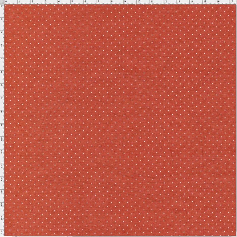 012973_000000_1