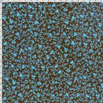 013418_000000_1