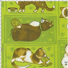 Tecido Estampado para Patchwork - DB095  Classic Cats Green C01 (0,60x1,40)