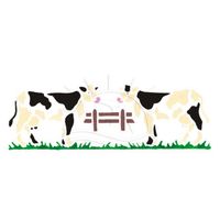 Stencil Acrilex 33x14 1145 - vacas