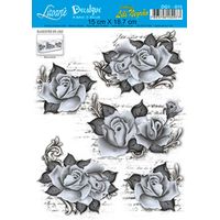 Decalque Lili Negrão 15 x 18,7cm Dq1 - 015