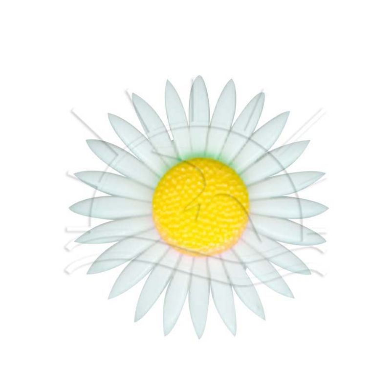 001918_000000_1