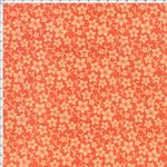 043705_000000_1