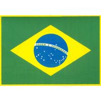 Placa de EVA Brasil Brasil bandeira grande