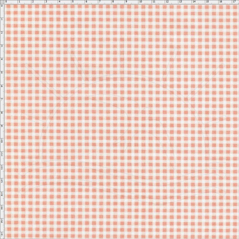 019858_000000_1