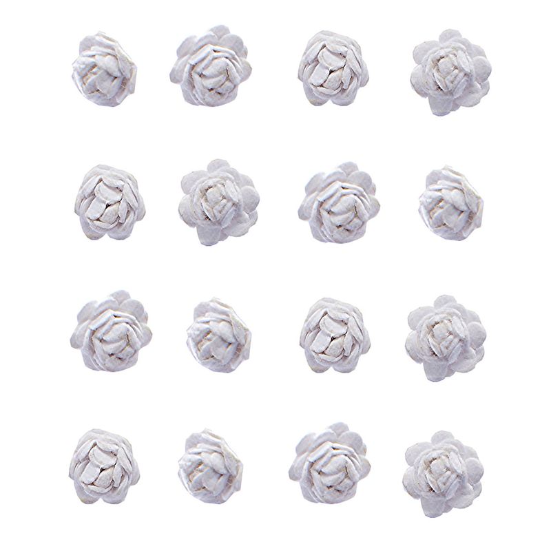 005794_000000_2