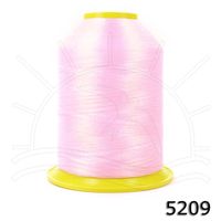 Linha Setta Lumina para Bordar 4000m 5209