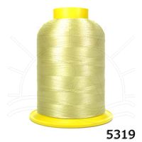 Linha Setta Lumina para Bordar 4000m 5319