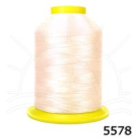 Linha Setta Lumina para Bordar 4000m 5578