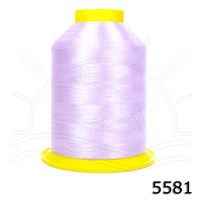 Linha Setta Lumina para Bordar 4000m 5581