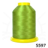 Linha Setta Lumina para Bordar 4000m 5597