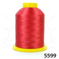Linha Setta Lumina para Bordar 4000m 5599