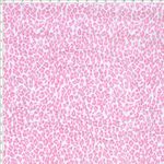 006575_000000_3