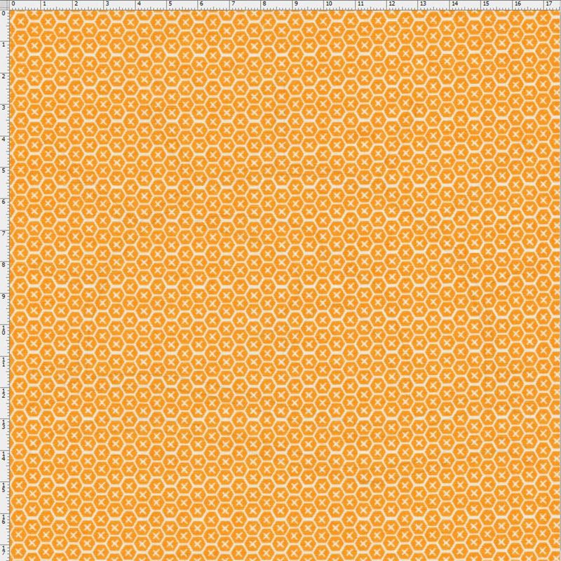 022934_000000_1