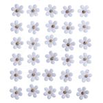 023276_000000_2