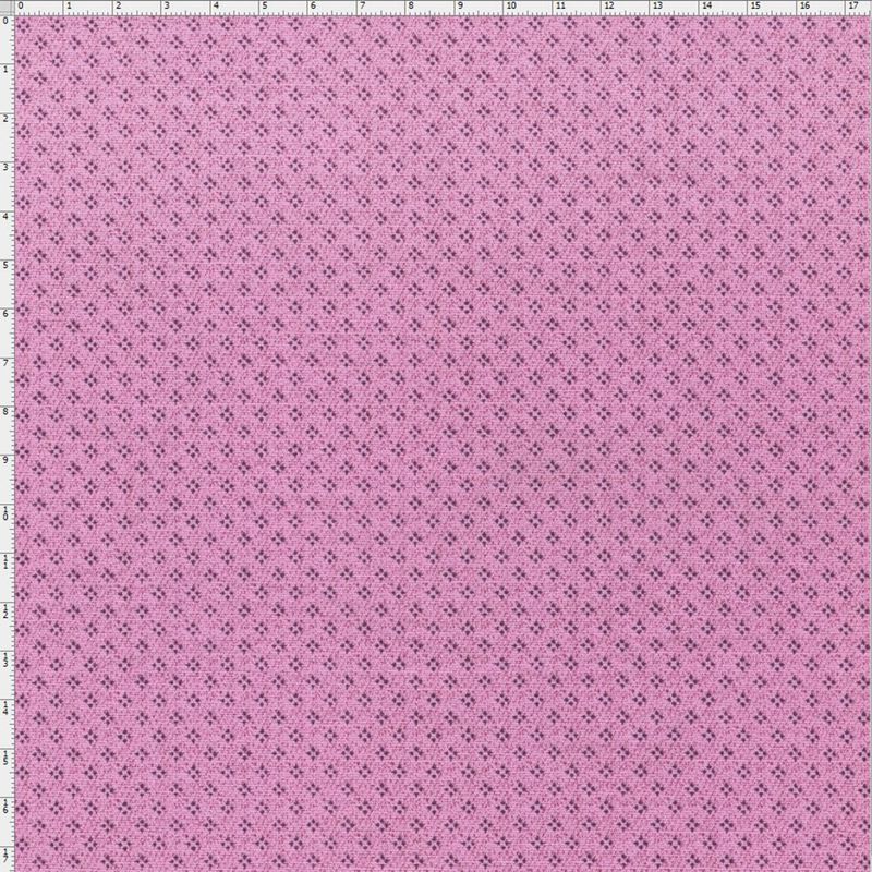 023804_000000_1