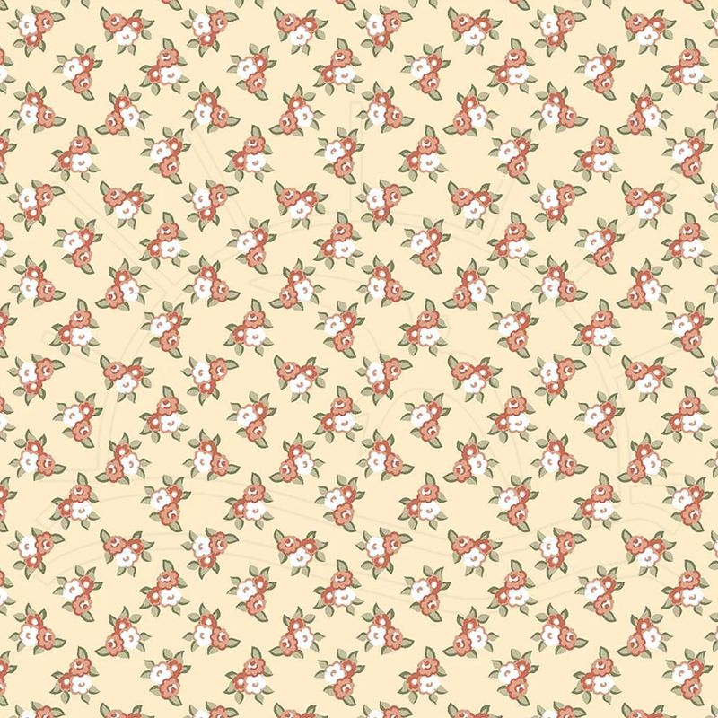 023897_000000_1