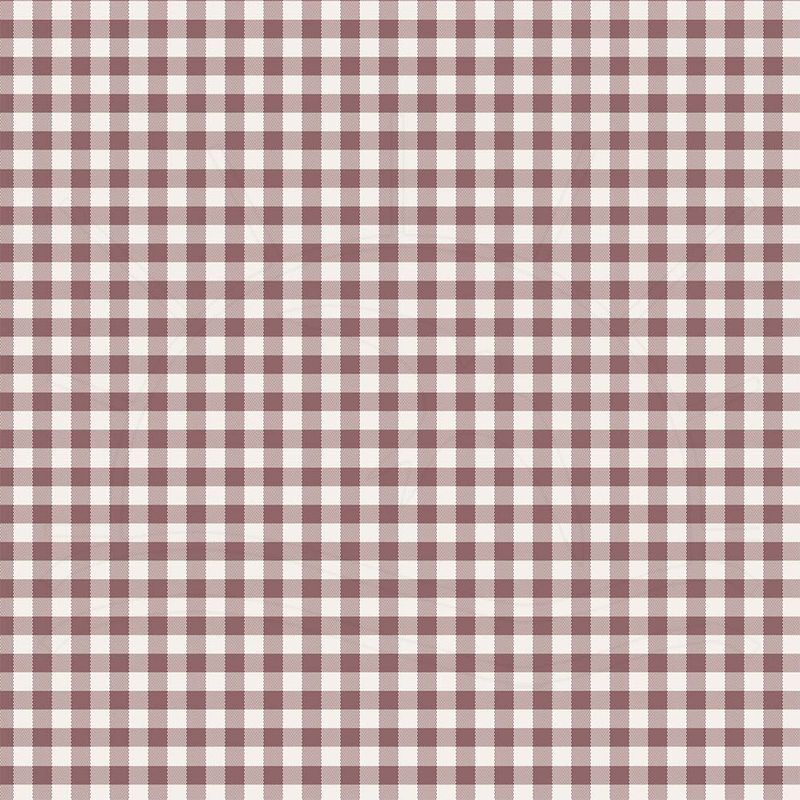 024215_000000_1