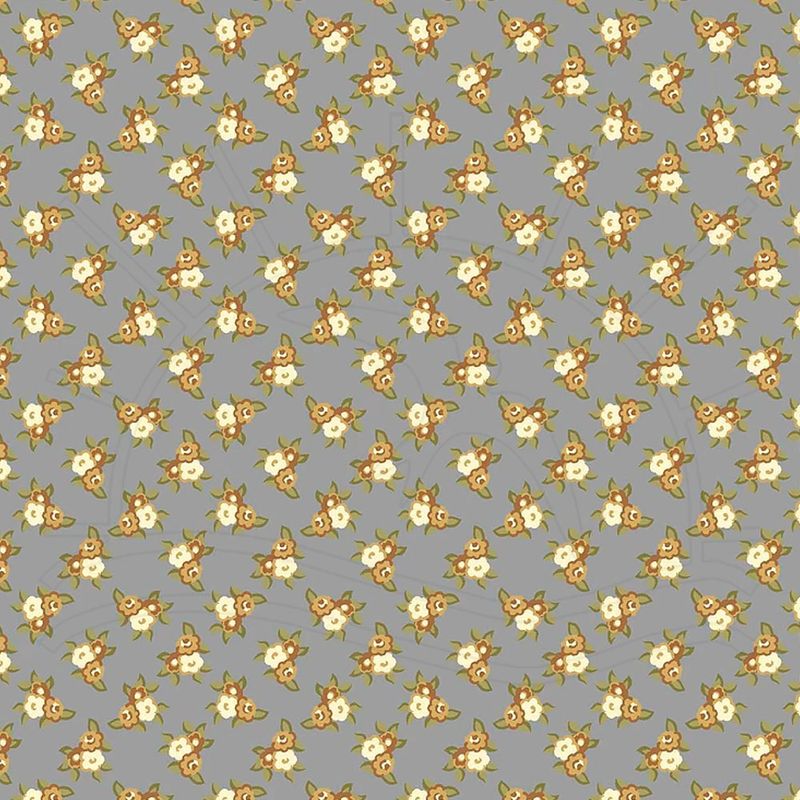 024247_000000_2