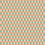 024305_000000_1
