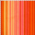 024321_000000_5