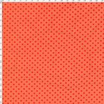 024322_000000_6