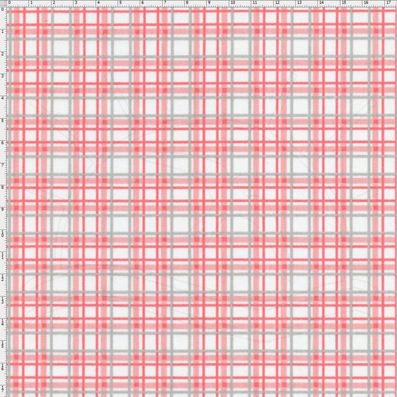024381_000000_1