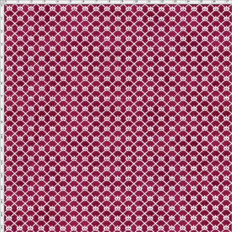 024521_000000_1