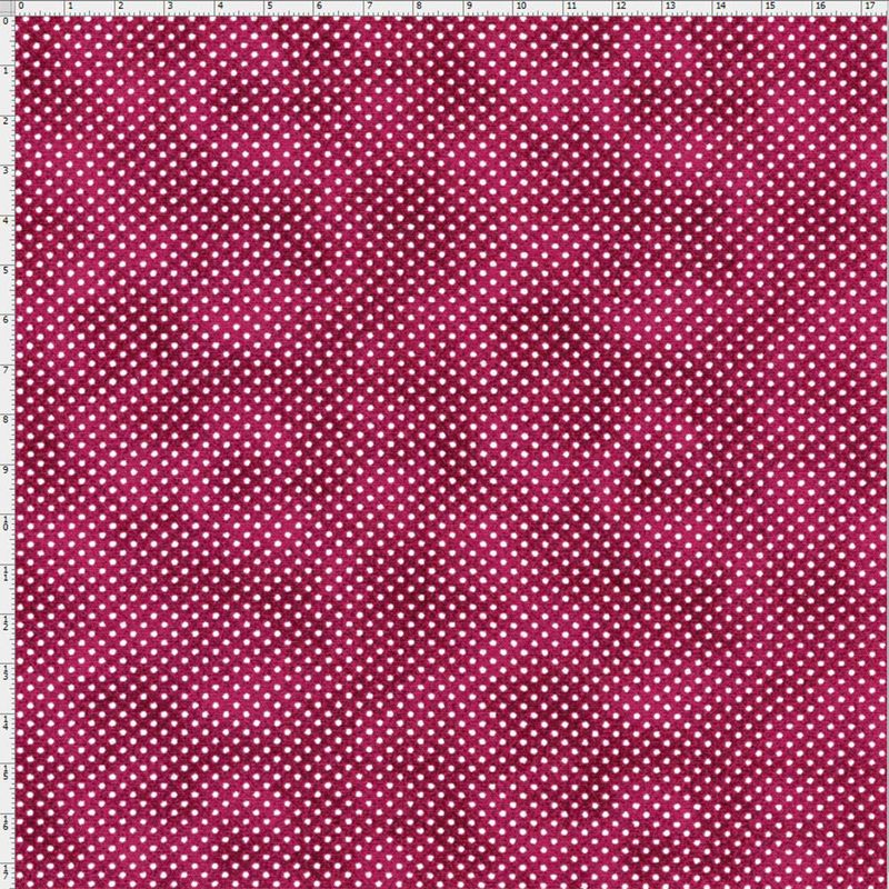 024633_000000_2