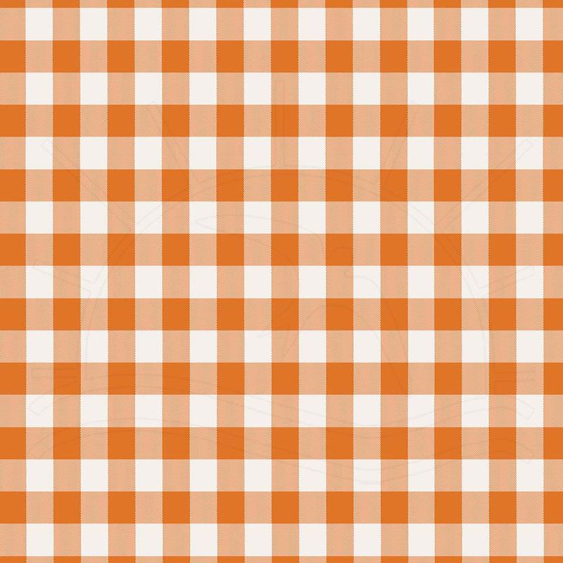 024655_000000_9