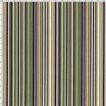 025017_000000_1