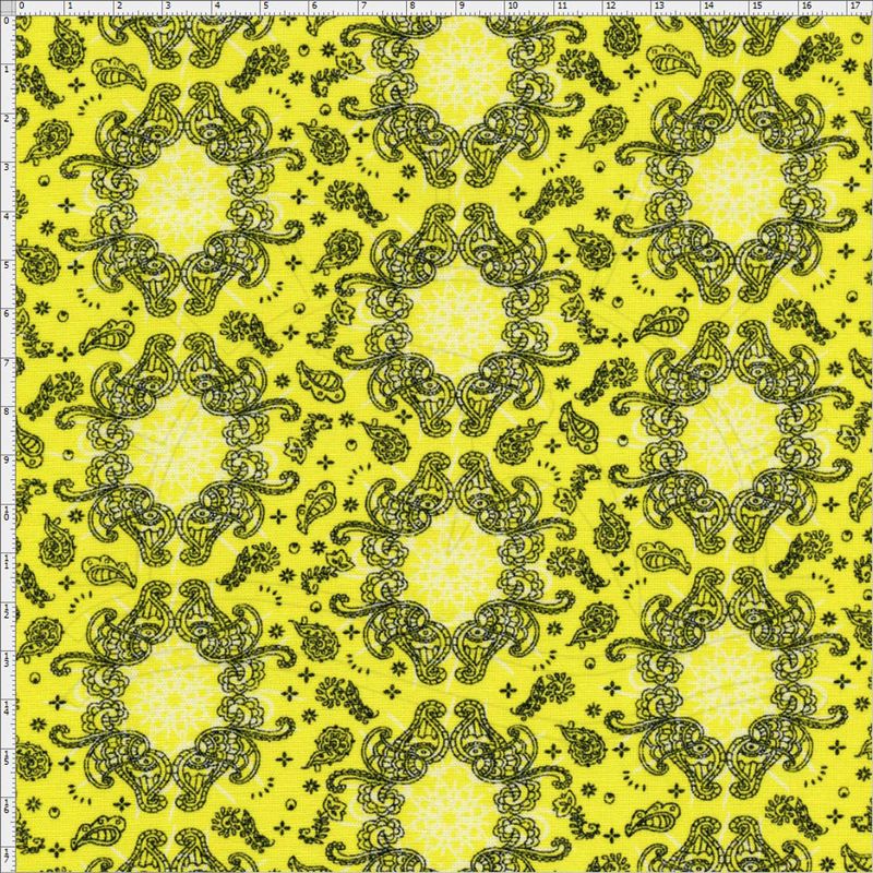 025069_000000_2