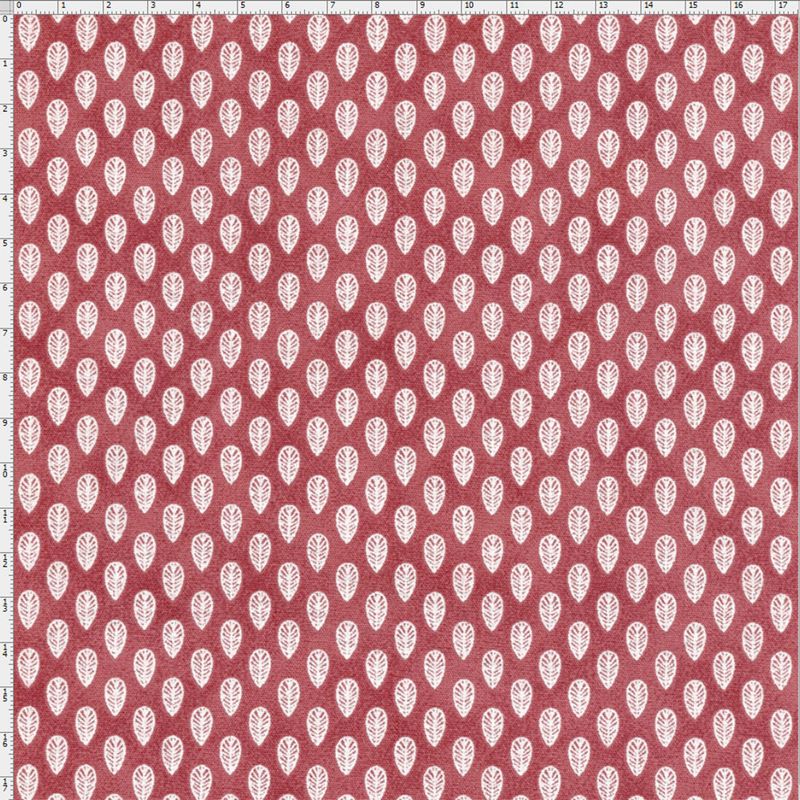 025219_000000_1