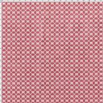 025221_000000_1