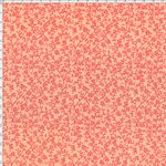 025922_000000_2