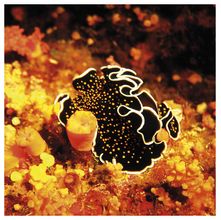 Tecido Quadrado Digital 49 x 49cm - Fundo do Mar