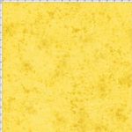 024552_000000_2