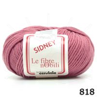 Lã Sidney 50g - 100% Merino Australiano 818