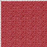 032455_000000_1