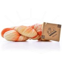 Lã Merino DK 6ply 100g - Tingimento Artístico 581 pêssego