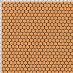 036240_000000_1