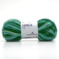 Lã Família Cores 40g 9011 green mix