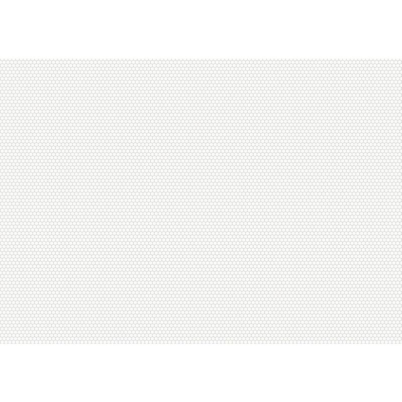 036662_000000_3