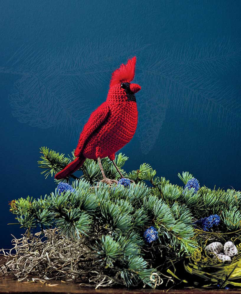 GRÁFICO  Bordado em tecido xadrez, Bico croche facil, Aves de crochê