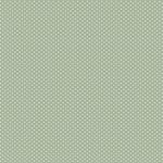 038176_000000_1